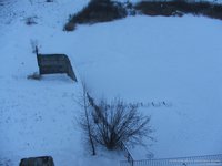 DSCF10699_e.jpg