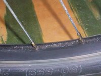 100E6755.JPG