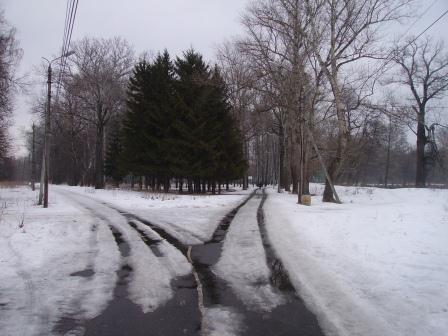 PICT0520.JPG
