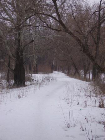 PICT0523.JPG