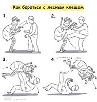 как бороться с клещом.jpg