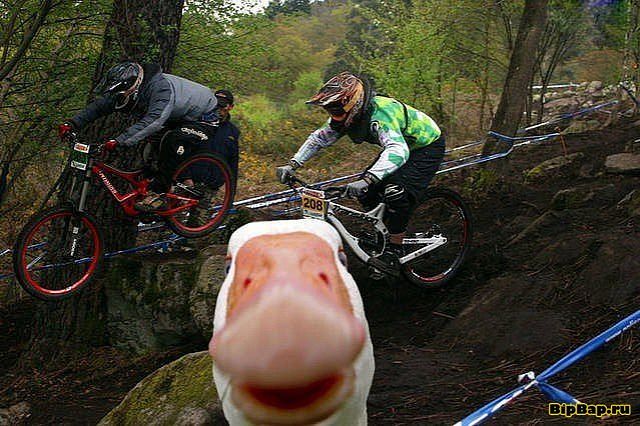 getImage.jpeg
