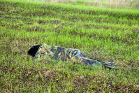 _MG_6885lr.jpg
