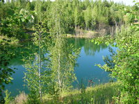 P6100067.JPG