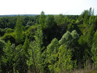 P6100069.JPG