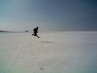 IMG220.jpg
